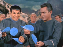 Spock smiles as he touches the singing plant.